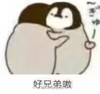 “我和我的动物朋友！”趣网美优酱评测（进阶）评测，无口系猫娘