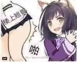 双子乙女（千奈）评测，重铸老牌荣光，吾辈义不容辞