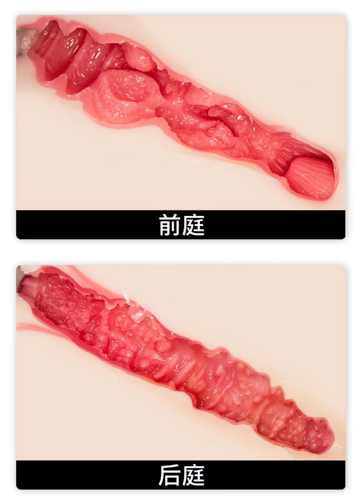 NPG极上生腰(七代目)评测!备受瞩目的续作,首次采用电动设计的顶配大屁股!