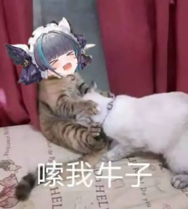 onaho女神爱丽丝评测，国产品牌的软胶大魔王~