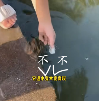 10种会让你的飞机杯光速去世的情况！千万注意！超全的小玩具保养指南！