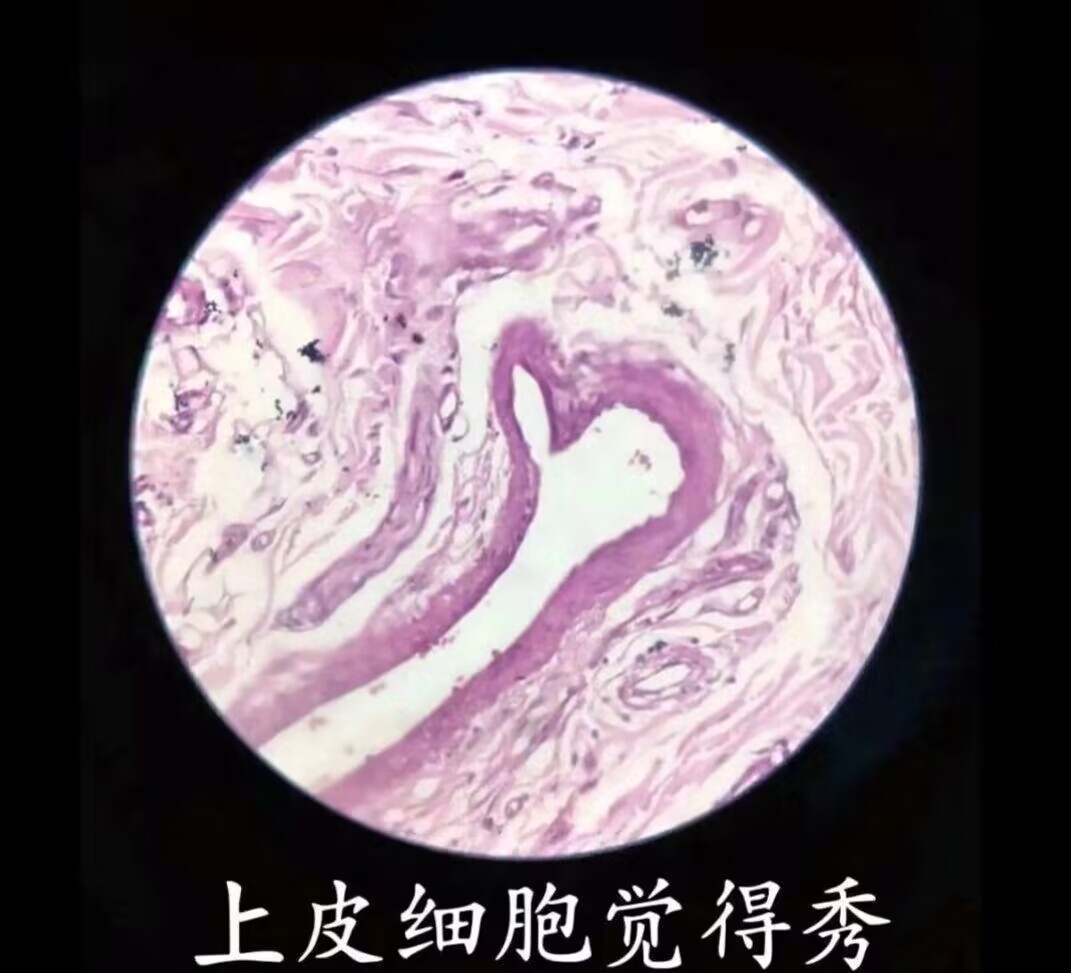 前列腺按摩器大评测！新手入门推荐，各类大对比！