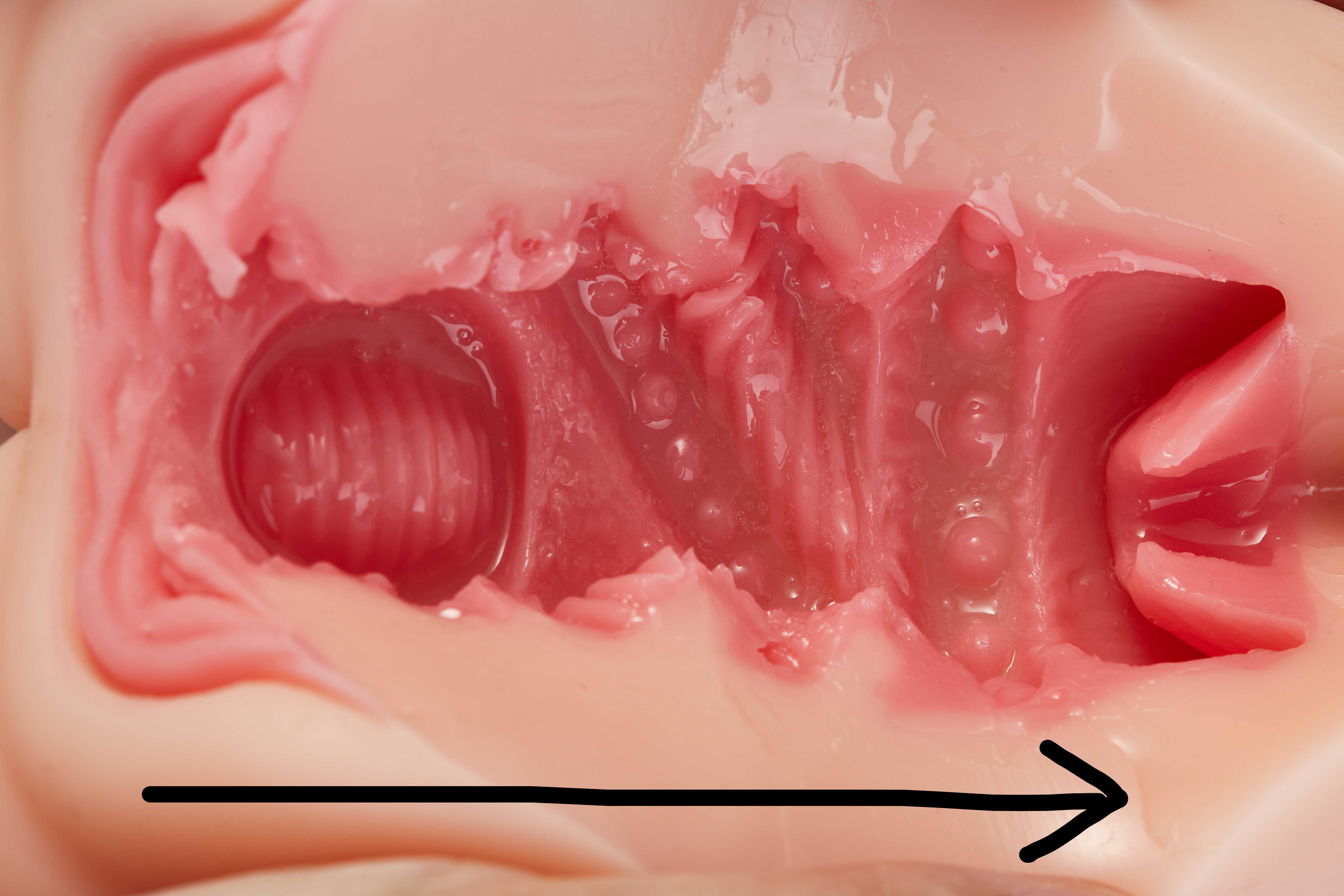 趣网-琉璃兔（排气杯）评测！高质量胶体！玩法类似R20的进阶长形名器