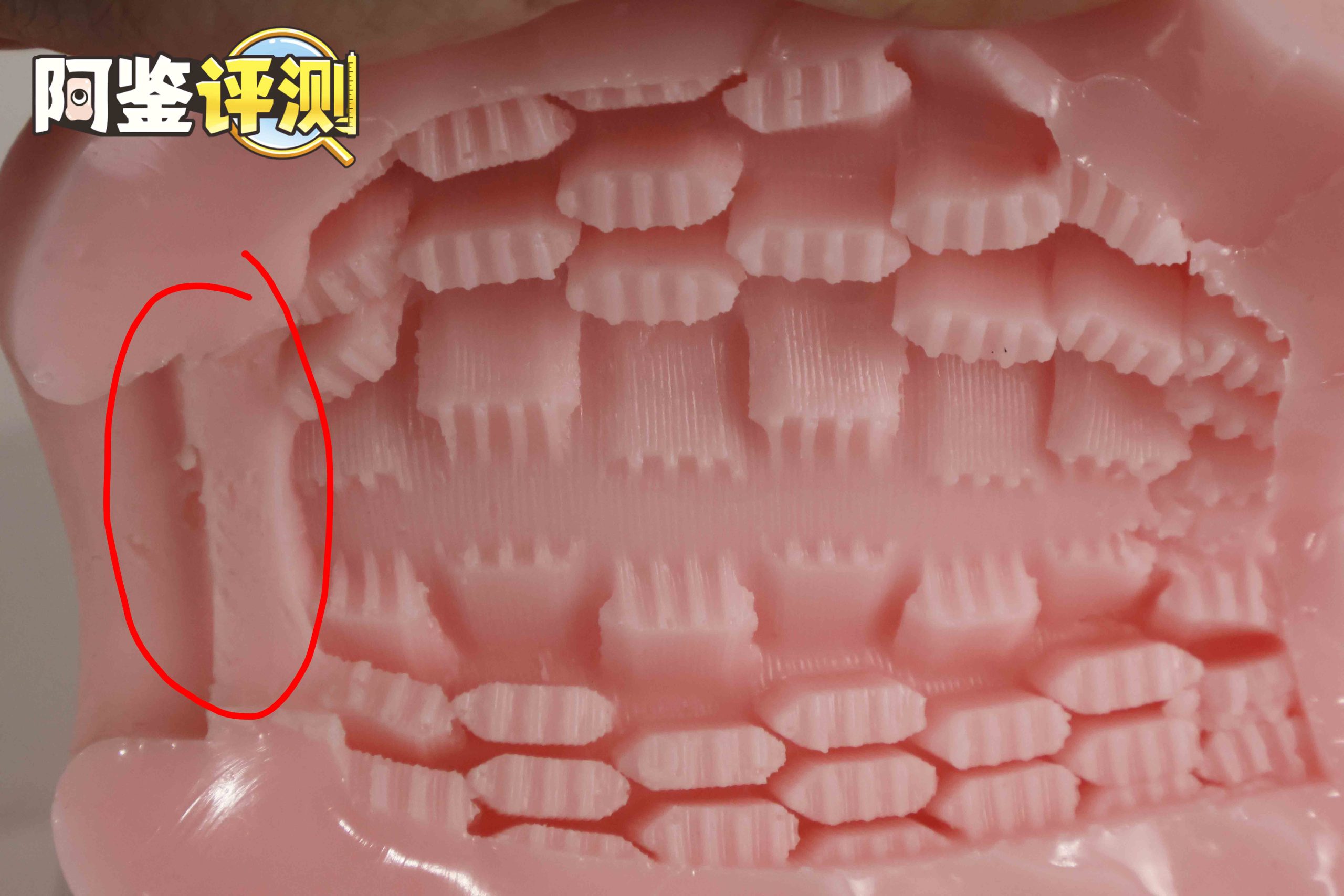 COOLP——“保健课学习”评测！辣妹主题！但非常无缘的块状搓衣板