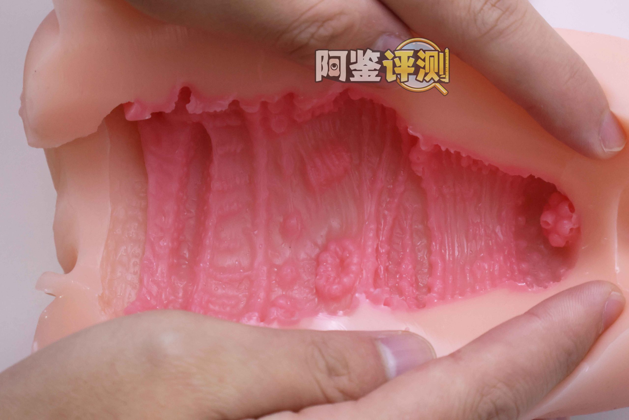 GXP—“工口新入生”评测！毫无压力的宽松型慢玩！平淡但不太腻