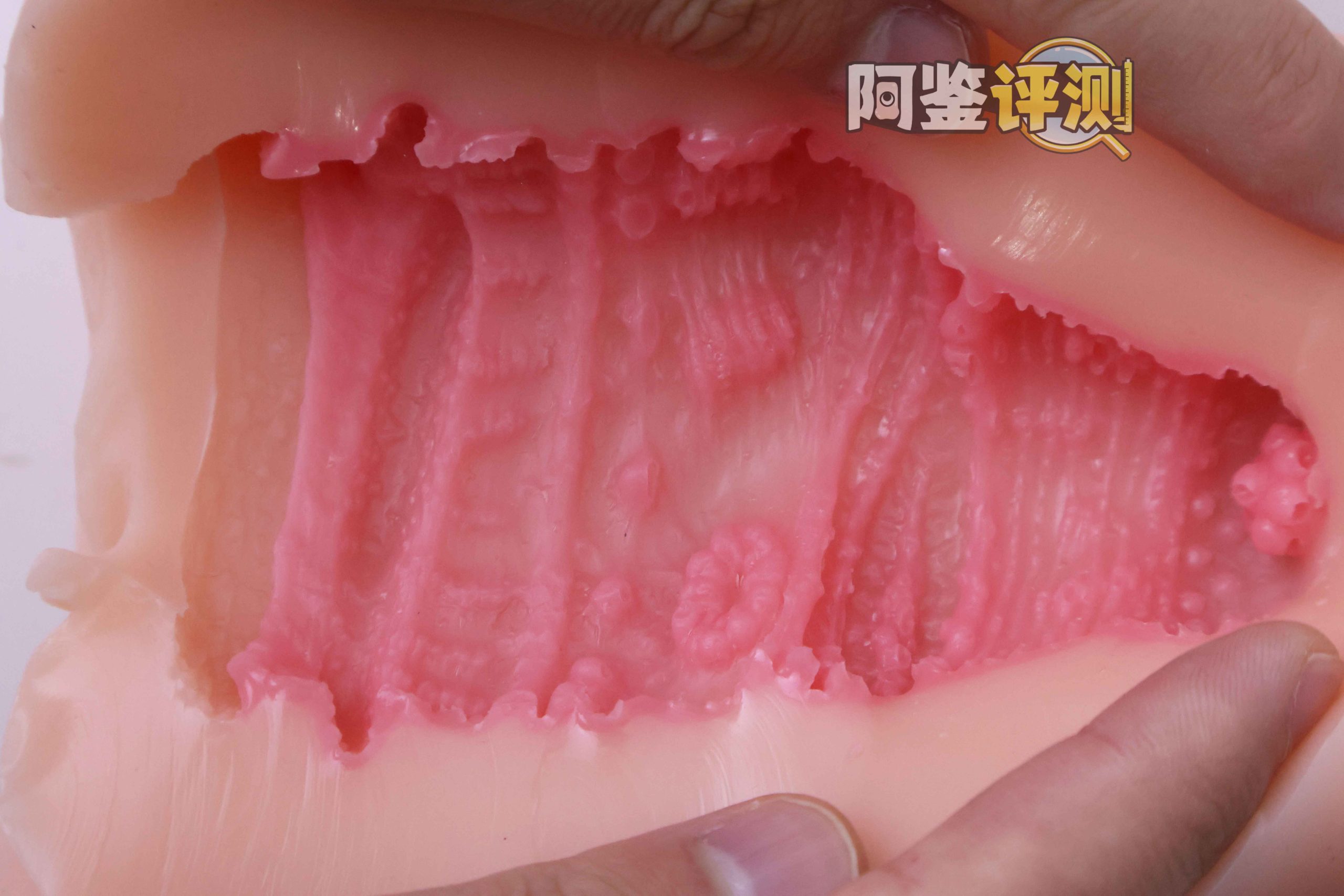 GXP—“工口新入生”评测！毫无压力的宽松型慢玩！平淡但不太腻