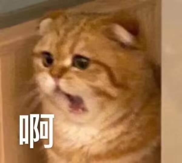 GOSE—“契约女仆—姐姐小贝”评测！弯曲慢玩，绵延肉感，传统派慢玩产品！