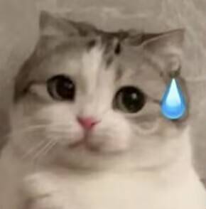 RIDE JAPAN——“眼镜娘护士”评测!对于颗粒感超强的慢玩,牛牛的反应不太确定...