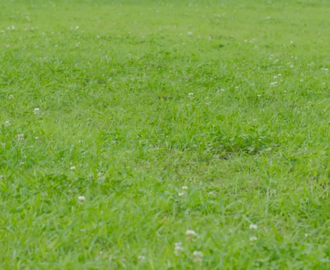 RIDE JAPAN——“软绵黑帮”，超软层加持的毛感剐蹭，敢不敢比划比划？