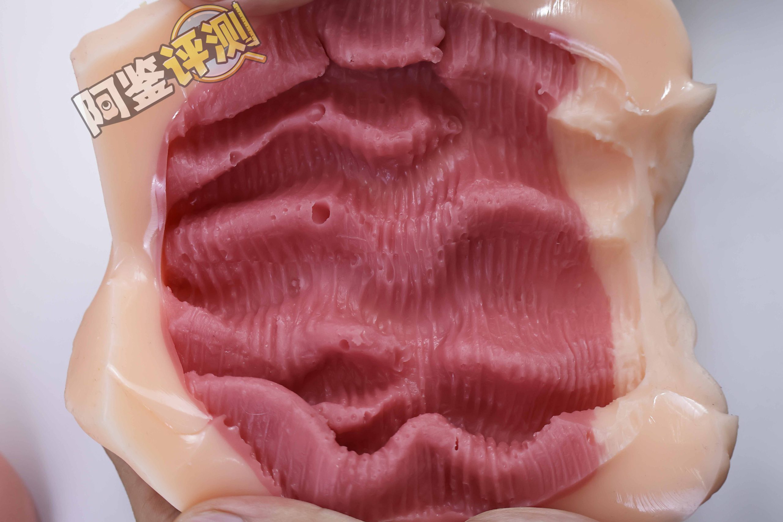 汤马托易士——“骑乘前辈”评测!硬感高刺激“日系大刀肉”!高难度的榨汁感!