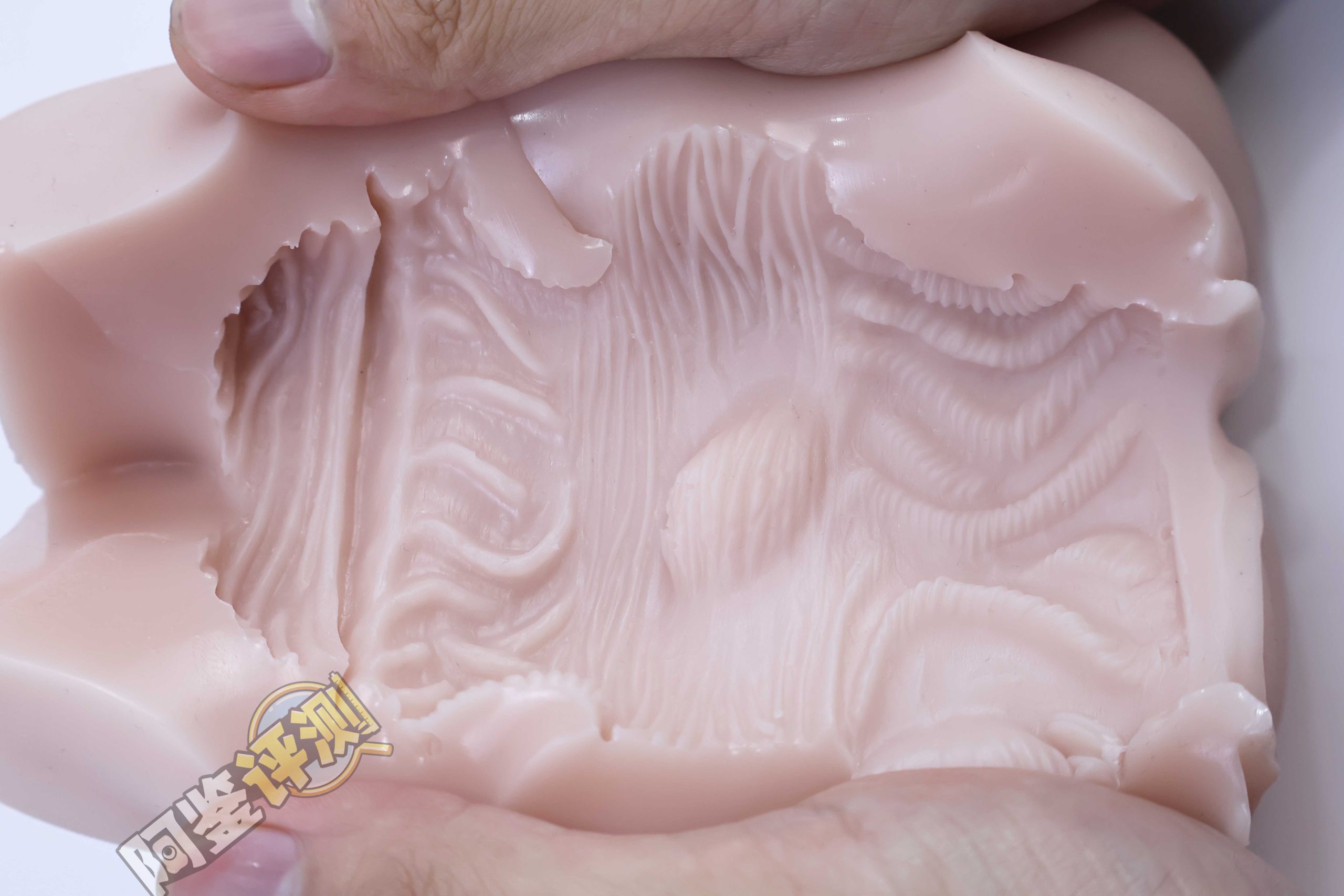 G-project——“艾露法”评测！又双叒叕是双通道，何时业界能放弃这个念头？