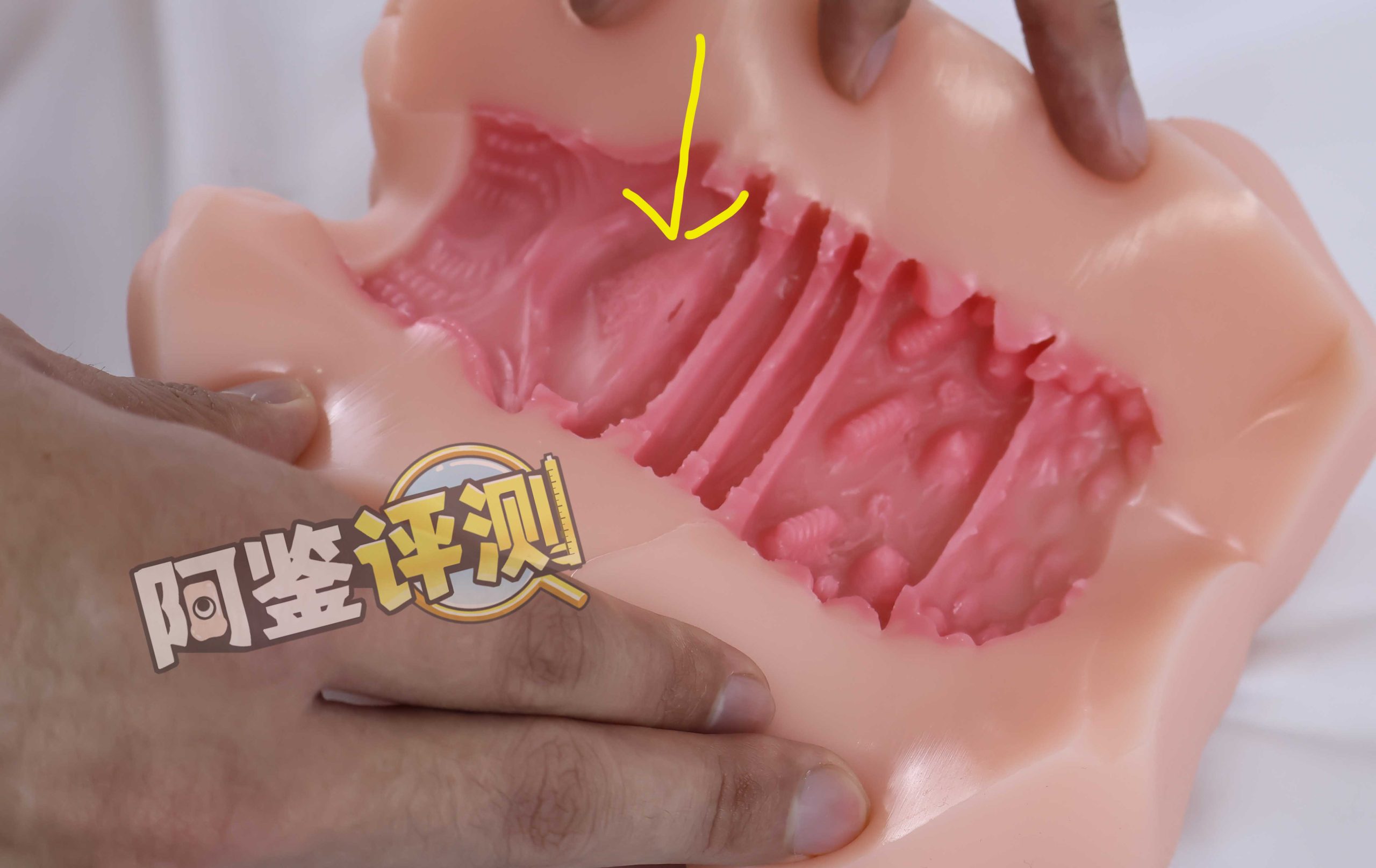 AGIaegir——“星座传说-魔蝎座”评测!新品牌试水之作,肉片结构表现如何?