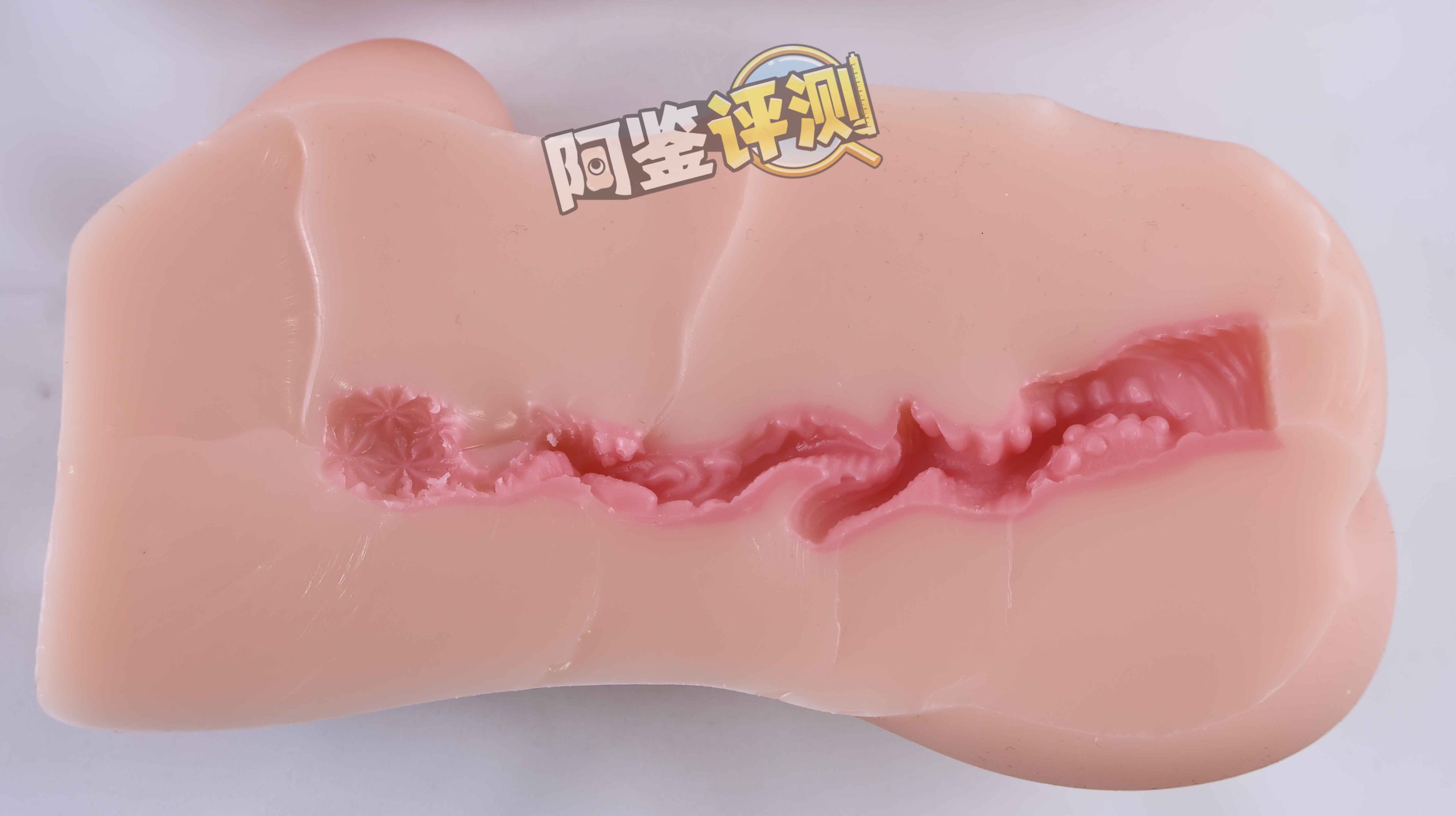 AGIaegir——“星座传说-水瓶座”评测！如同“心脏瓣膜”一般的结构，属实闻所未闻...