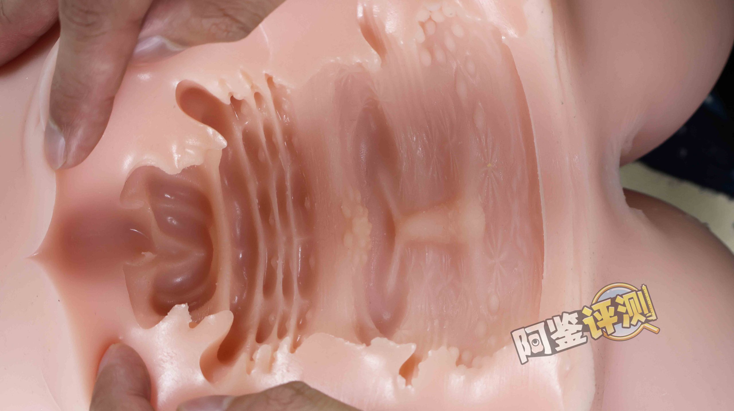 2024年1-3月—新品评测总结！推荐飞机杯爱好者尝试的款式！