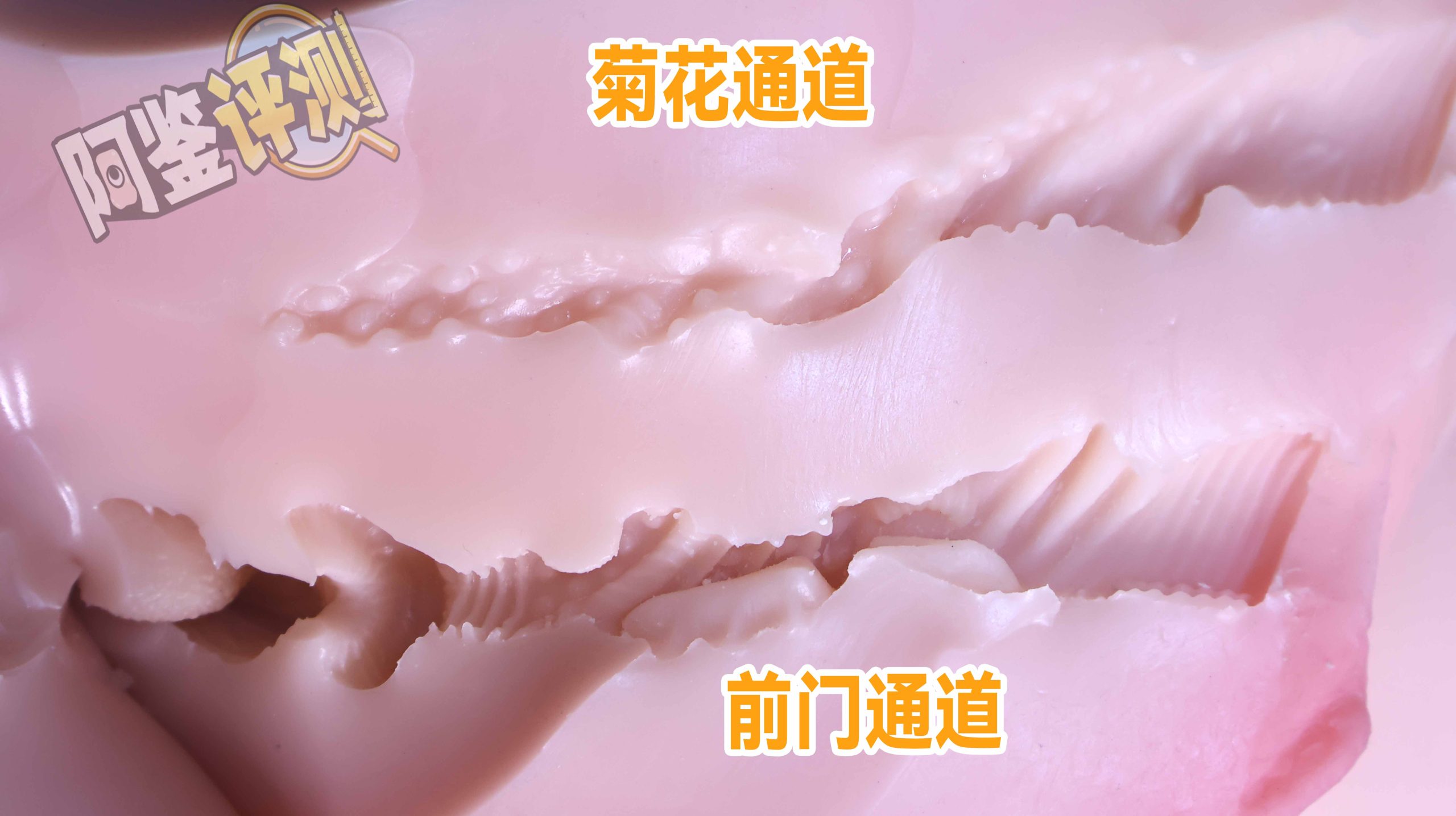 GXP——“夏威夷之旅”评测！最夸张的20kg“健身道具”，两处软胶的（超级贵）娃娃级玩具！