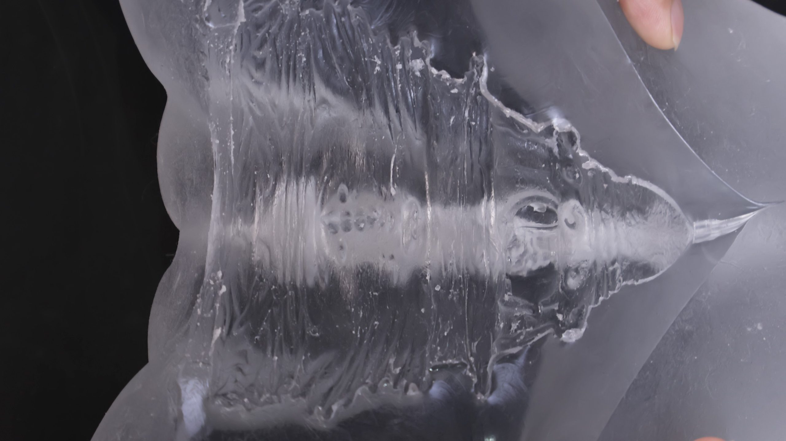 LoveFactor——“应援会长（透明版）”评测！硬度的变化如此之少，似乎只是为了透视噱头