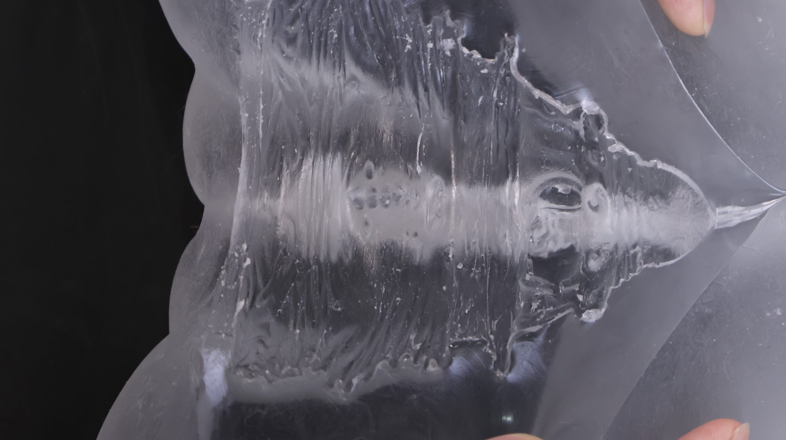 LoveFactor——“应援会长（透明版）”评测！硬度的变化如此之少，似乎只是为了透视噱头