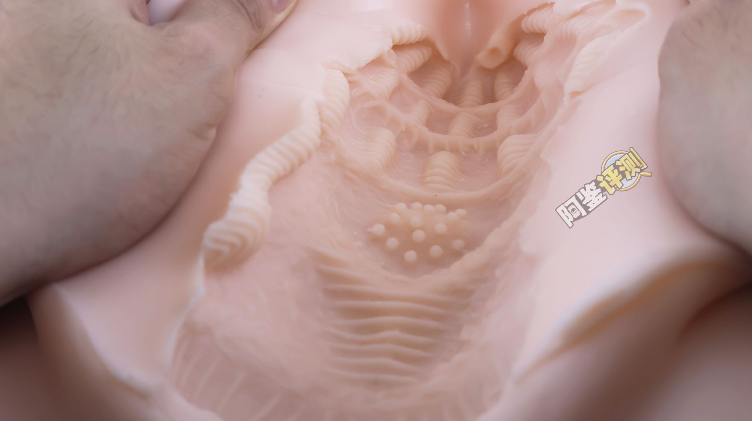 MACCOS——“纯洁之体”评测！少见的带腿小臀模，多种多样的视觉角度