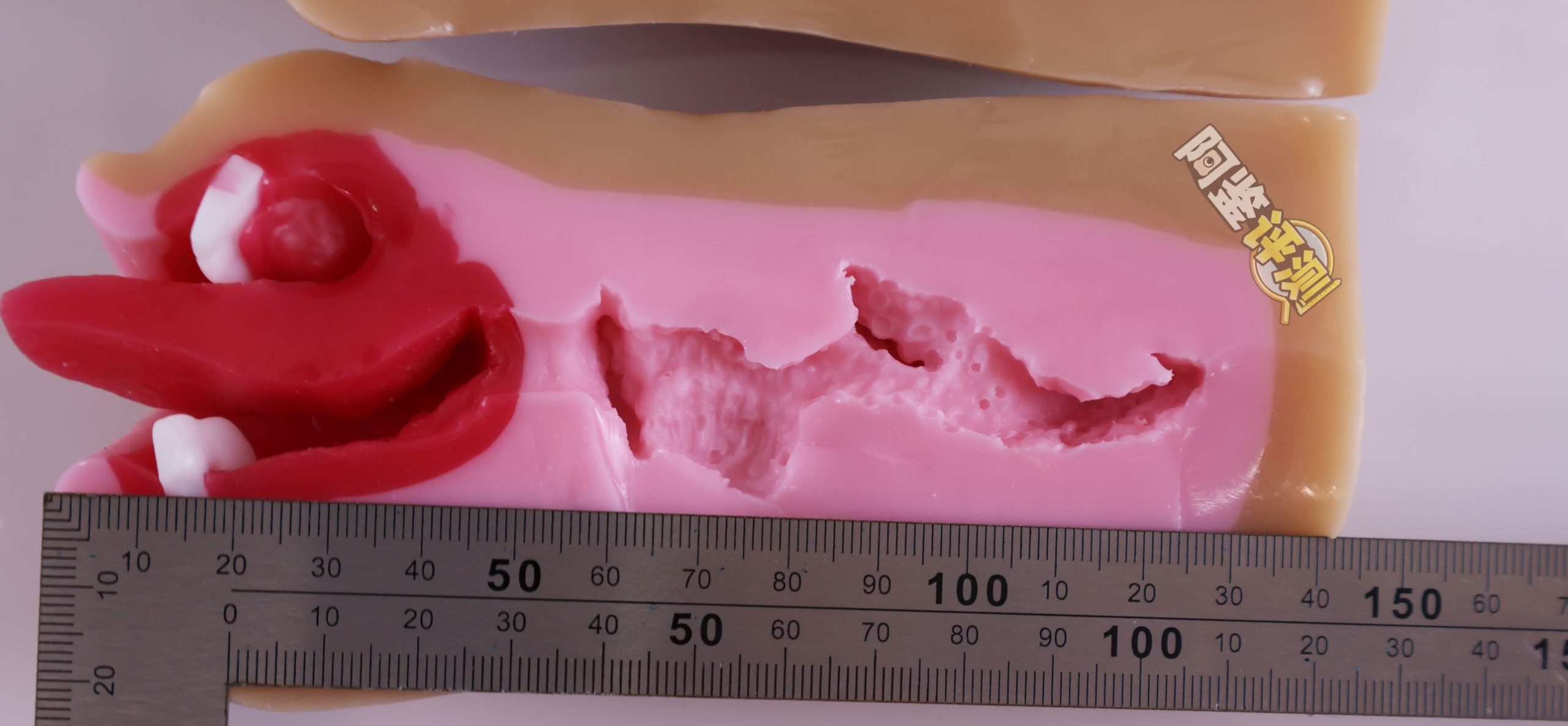 魔眼——“超辣妹浓厚口交”评测！牙齿噱头过气后，“真实之口”的金字招牌完全破碎