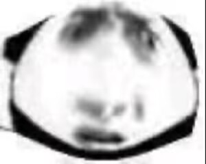 LoveFactor——“萌妻解禁”评测！久违的约束环菊花杯，似曾相识的三层材质结构