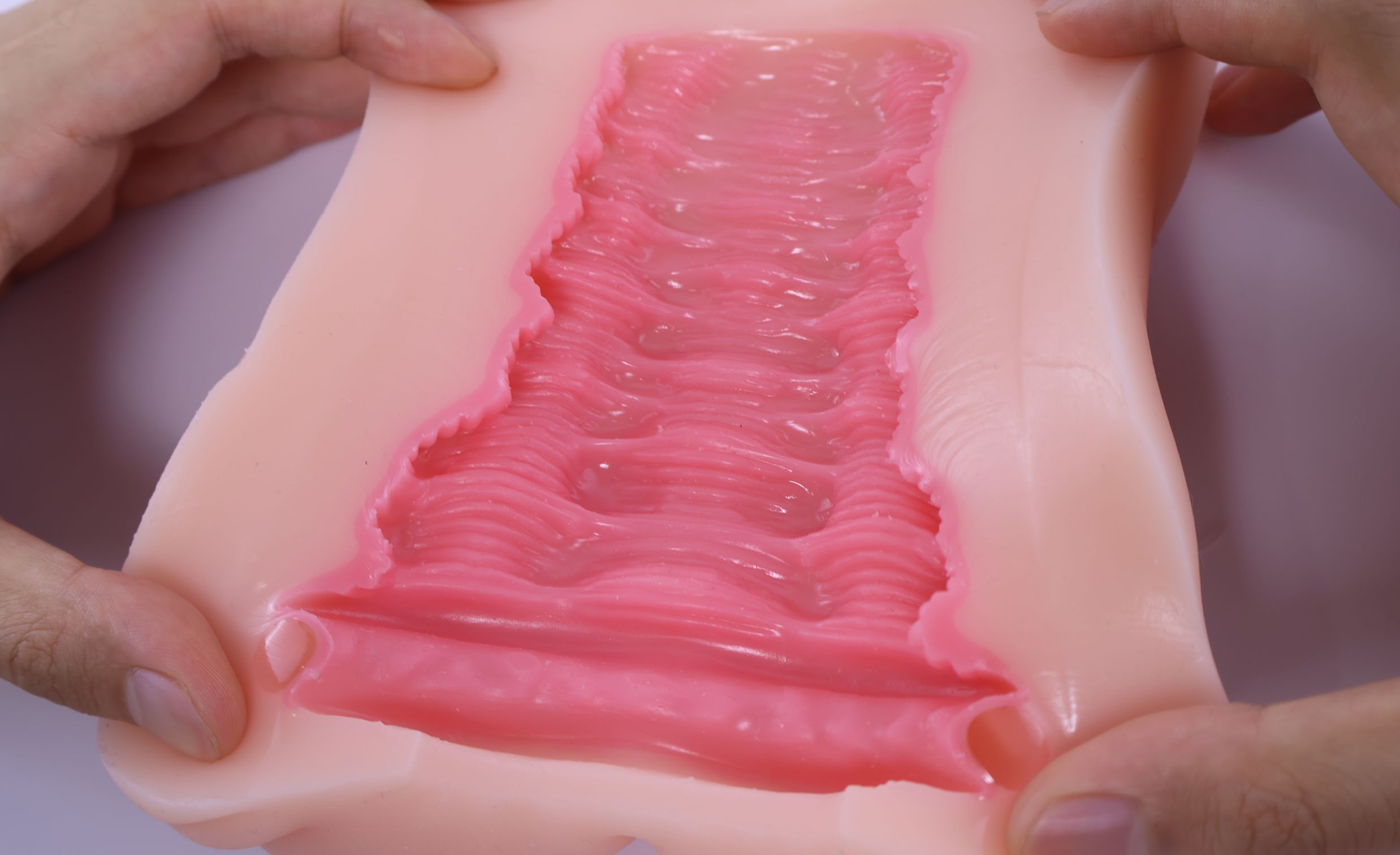 LoveFactor——“萌妻解禁”评测！久违的约束环菊花杯，似曾相识的三层材质结构