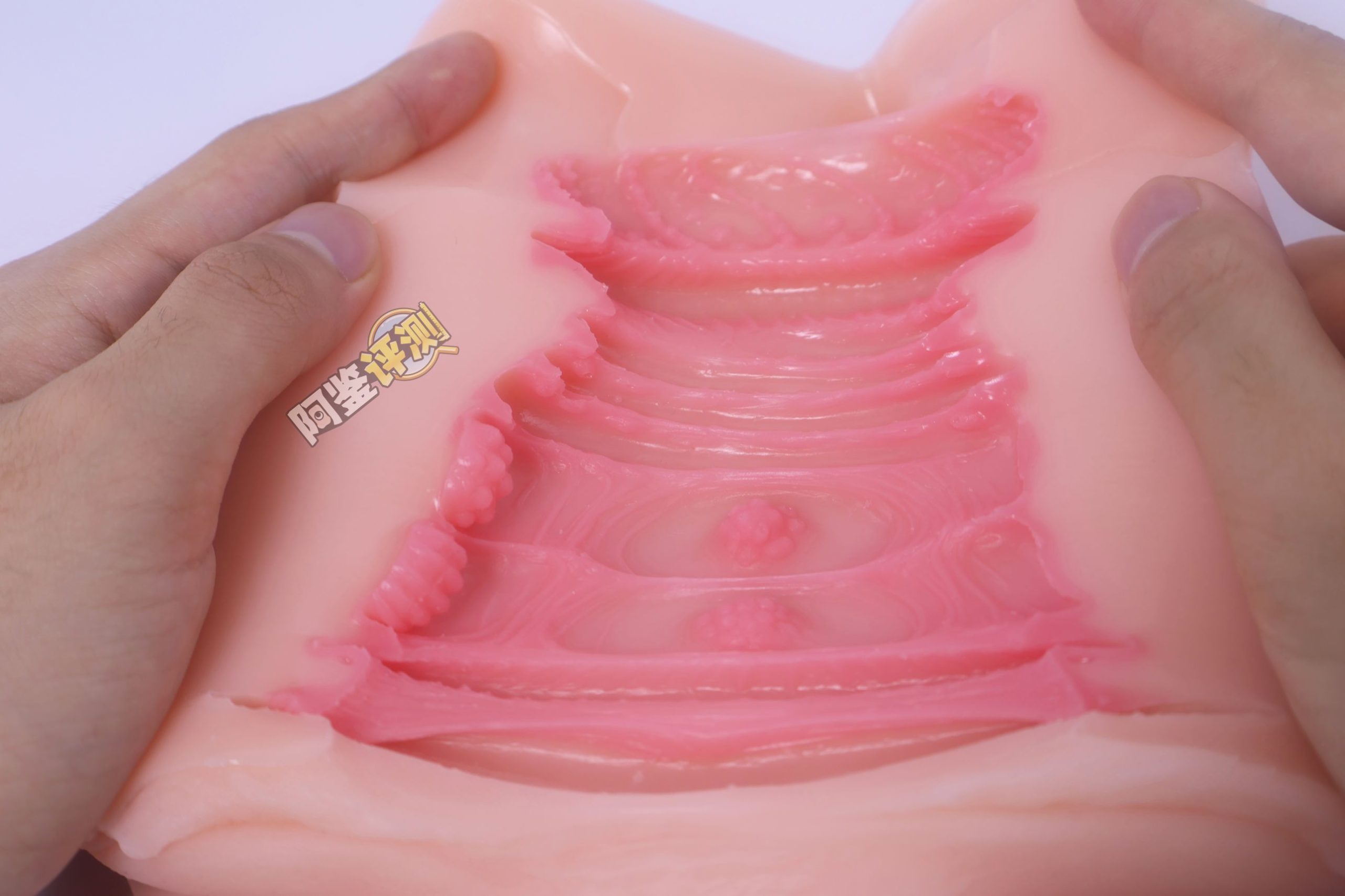 GXP——“白丝壁女2代(hard版）”评测！更加硬质的肉片结构，完全改变了整个杯子的体验画风！