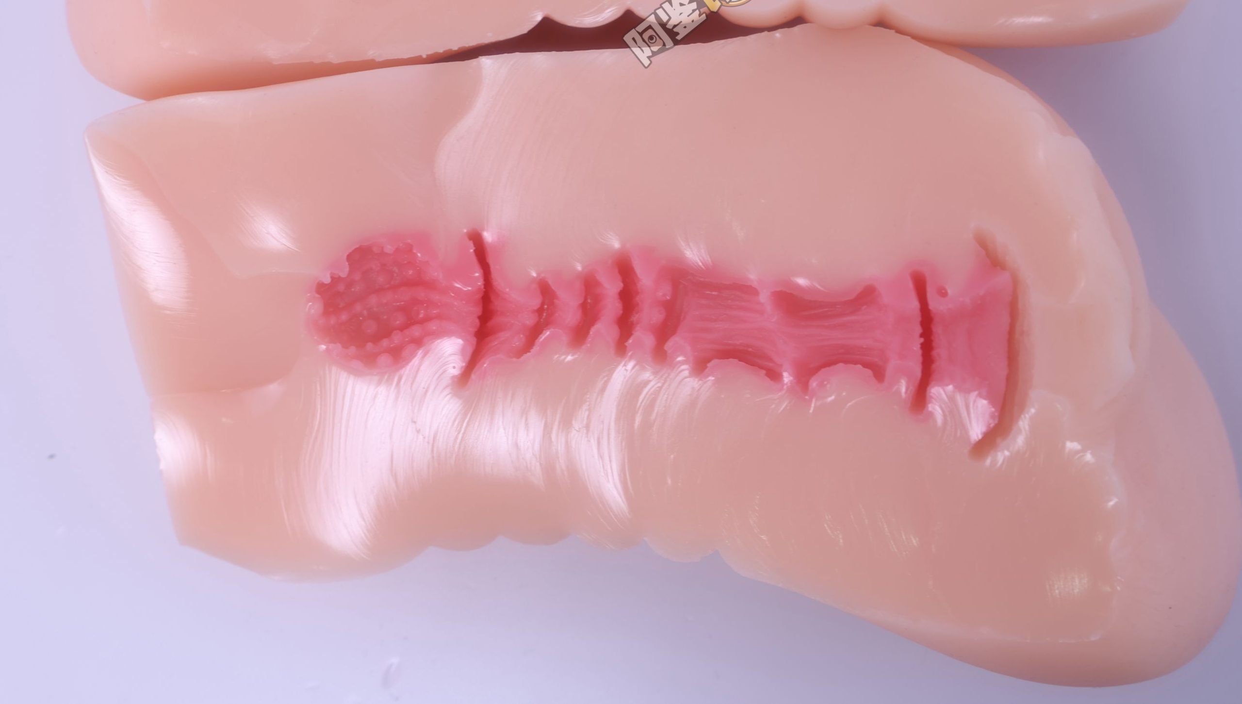 GXP——“白丝壁女2代(hard版）”评测！更加硬质的肉片结构，完全改变了整个杯子的体验画风！