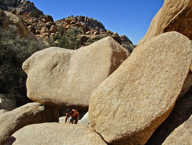 火炮——“残暴的阿丽奈”评测！平坦的“砂纸结构”，真空玩法下居然意外的体验很爽？