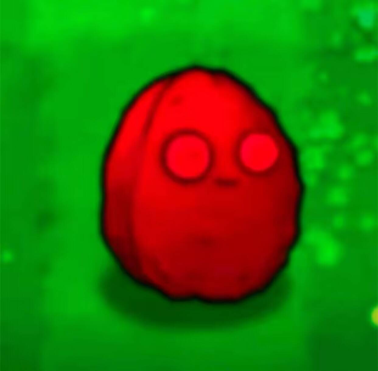 GOSE——“生榨牧场”评测！8kg的逆天大软臀，超级加码回弹感的“大鬼泡芙”