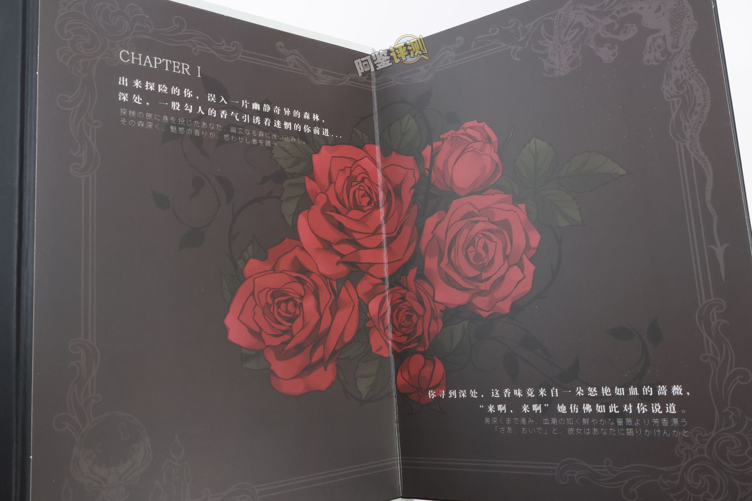 TMT——“魔女之森”评测！除了使用体验以外都挺精致，杯界的时尚小垃圾