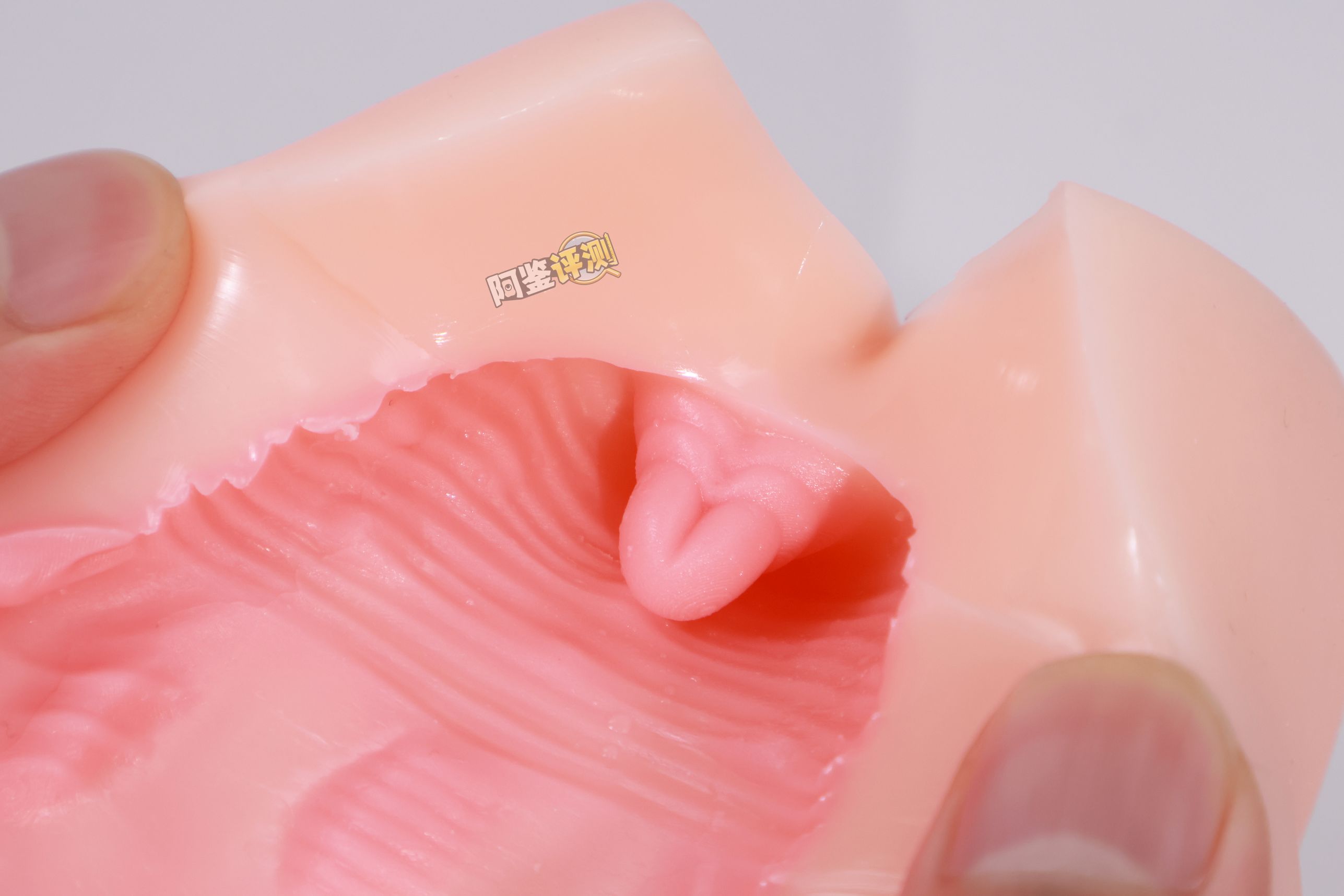 TMT——“魔女之森”评测！除了使用体验以外都挺精致，杯界的时尚小垃圾