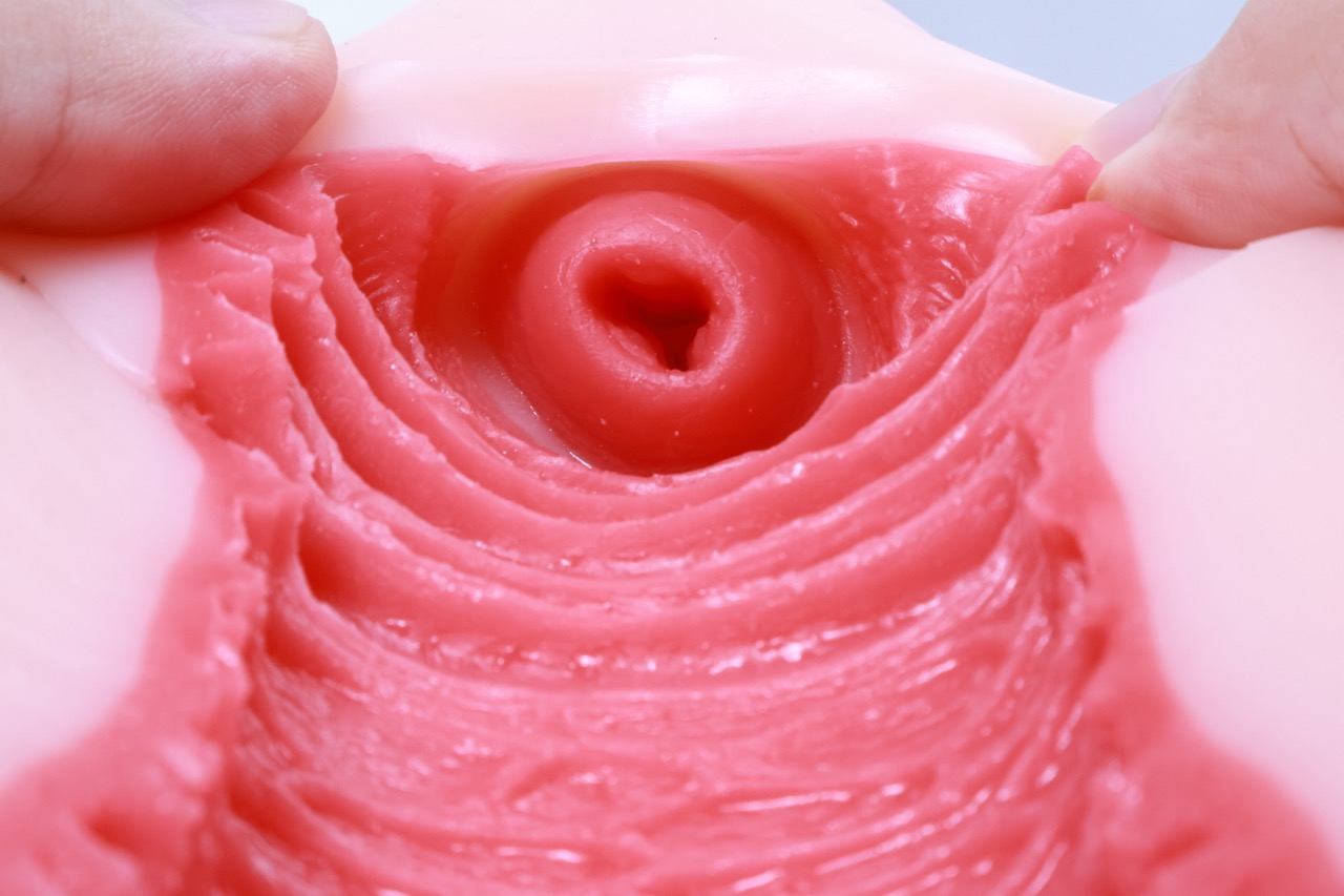 GOSE——“圣洁之宫”评测！猎奇造型的子宫杯与新设计的排气结构，是不是真的能吸？