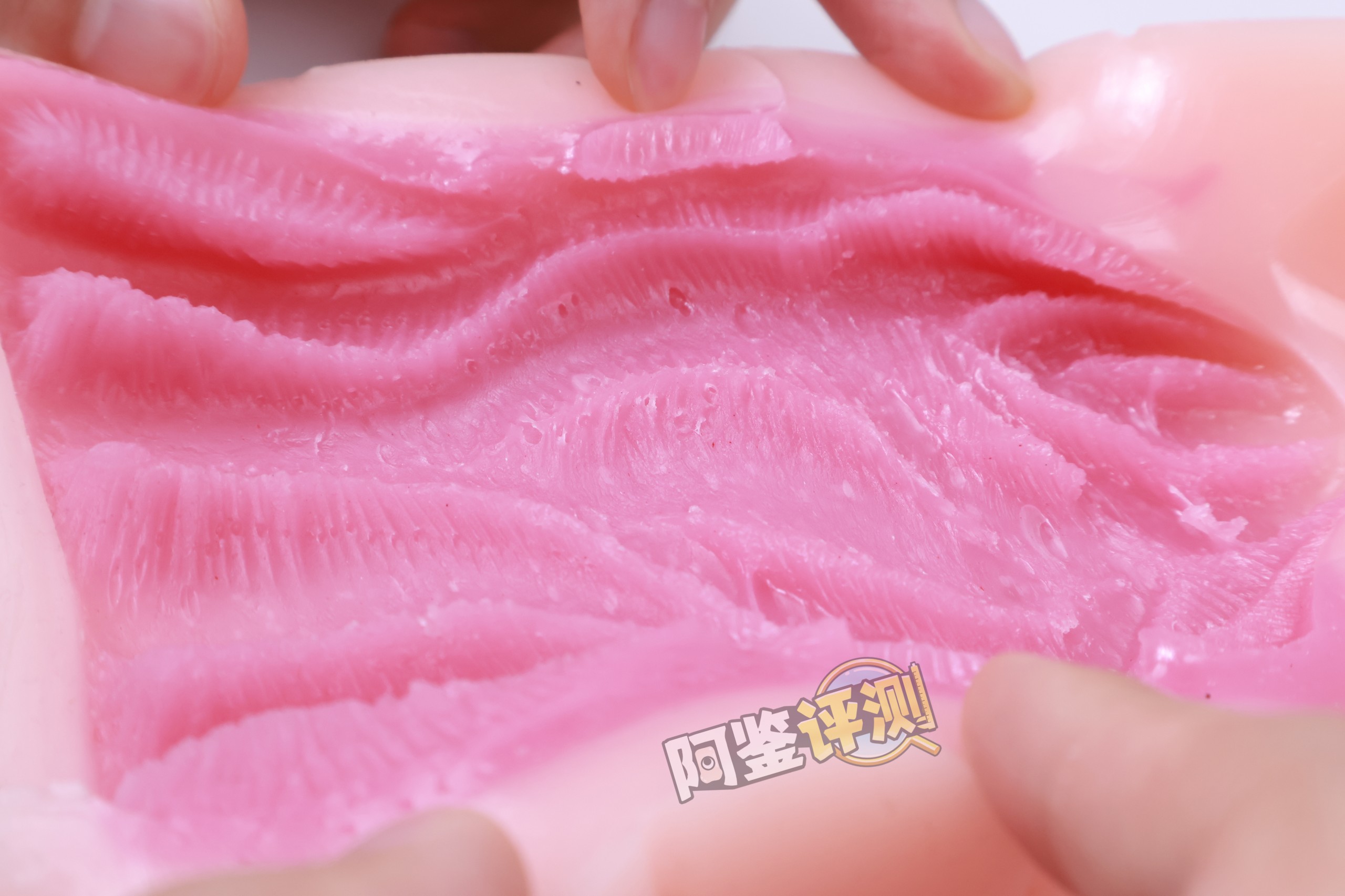 火炮——“高级大小姐的潜力W”评测！不能动的硬质肉脊结构，用起来感觉像被叉住了一样.....