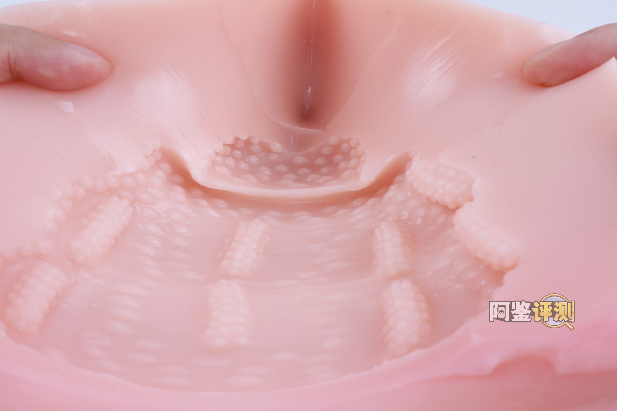 对子哈特——“唯樱璃”评测！再次更换材料的6kg性价比款臀模，非常“平均”的常规PP