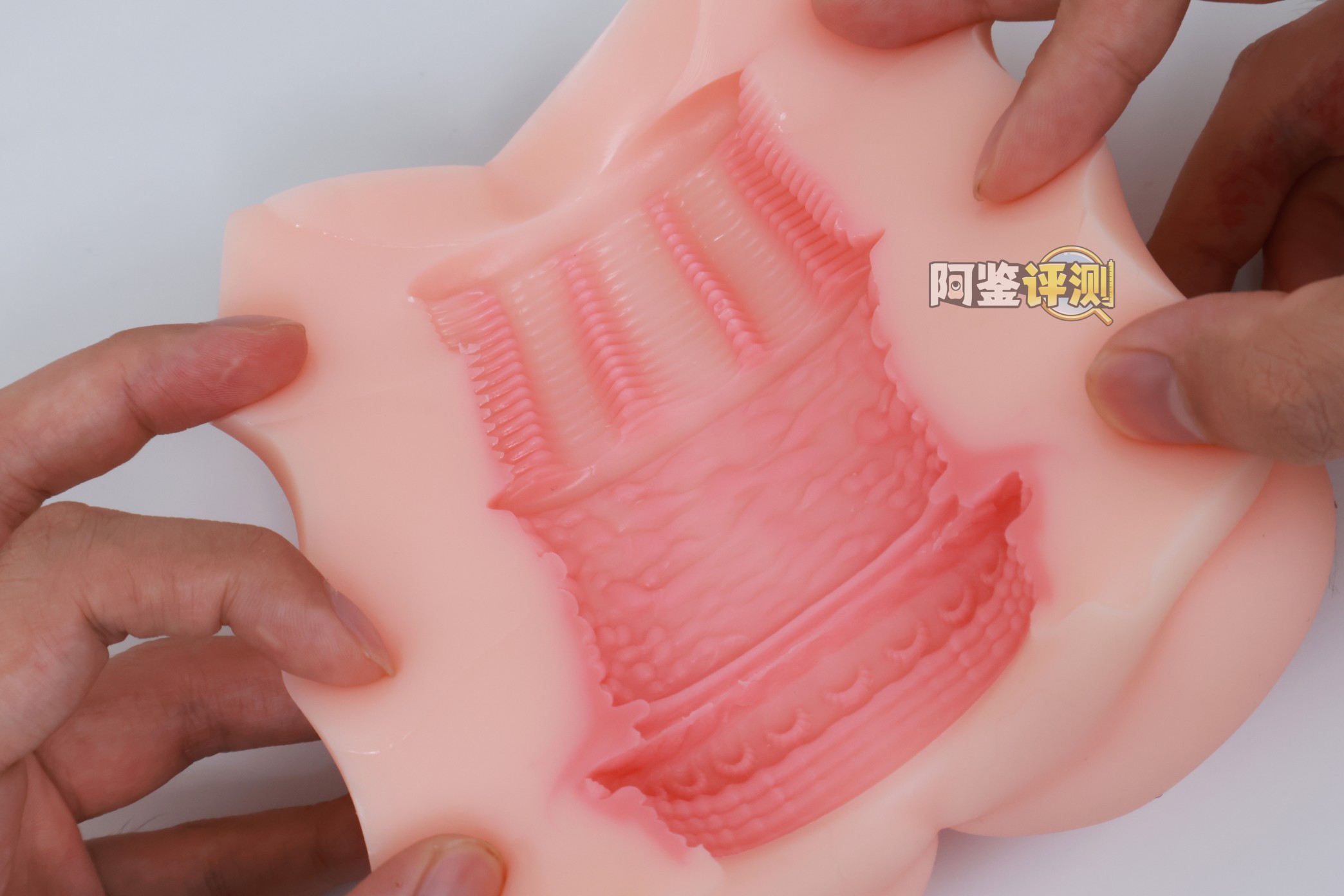 对子哈特——“水无月”评测！简单到如此程度的内部结构，评测都不知道写什么了....