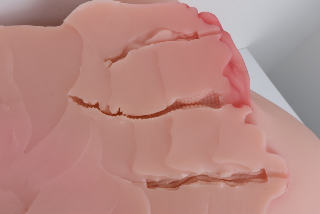 傲川——“爆汁肥尻娘MAX”评测！40kg逆天重量的究极大臀，实际使用起来到底是怎样的感觉？